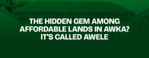 Read more about the article The Hidden Gem Among Affordable Lands in Awka? It’s Called Awele