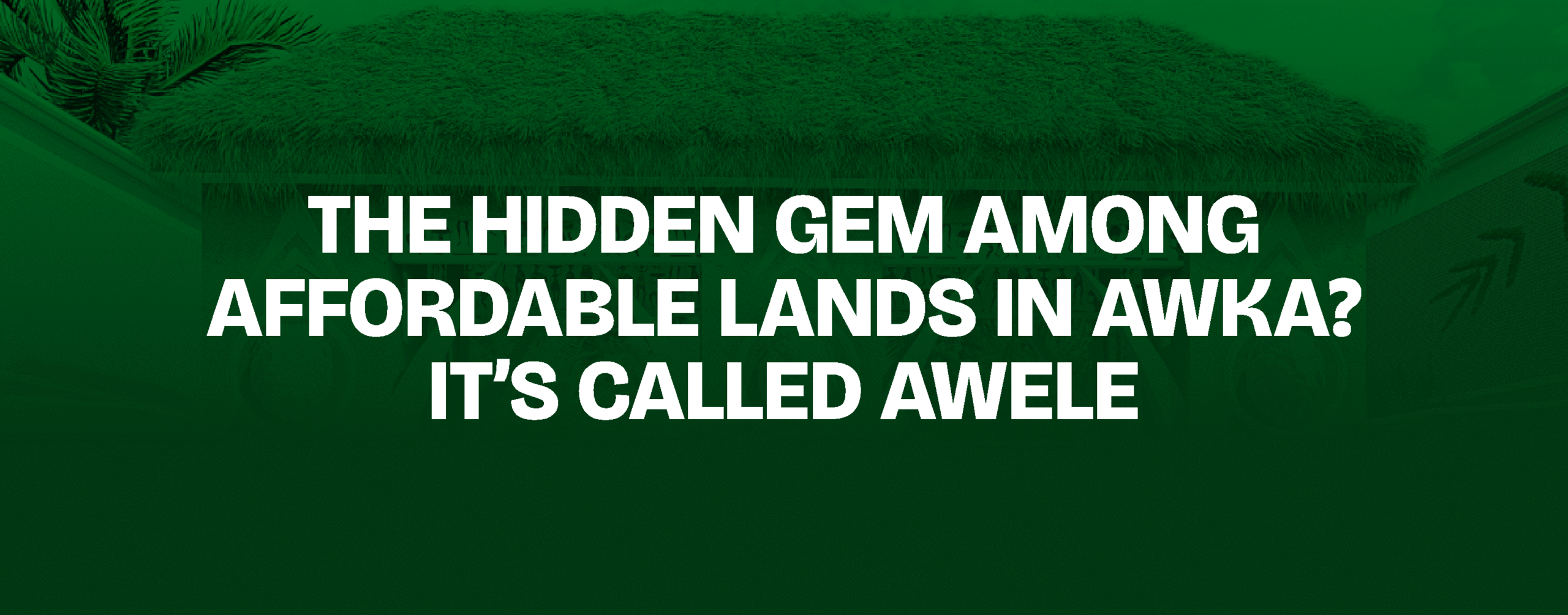 Read more about the article The Hidden Gem Among Affordable Lands in Awka? It’s Called Awele