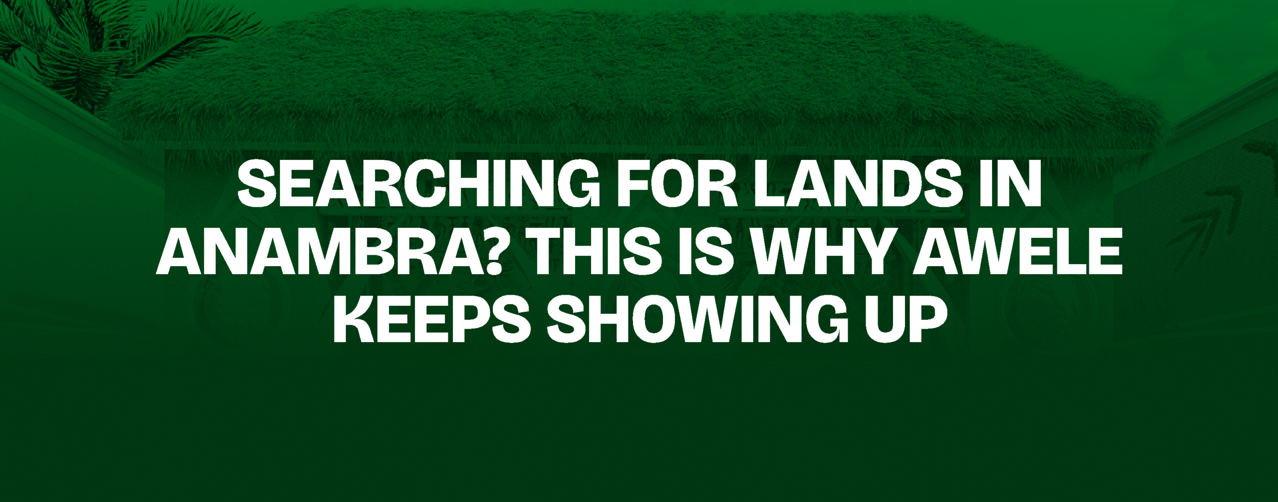 You are currently viewing Searching for Lands in Anambra? This Is Why Awele Keeps Showing Up